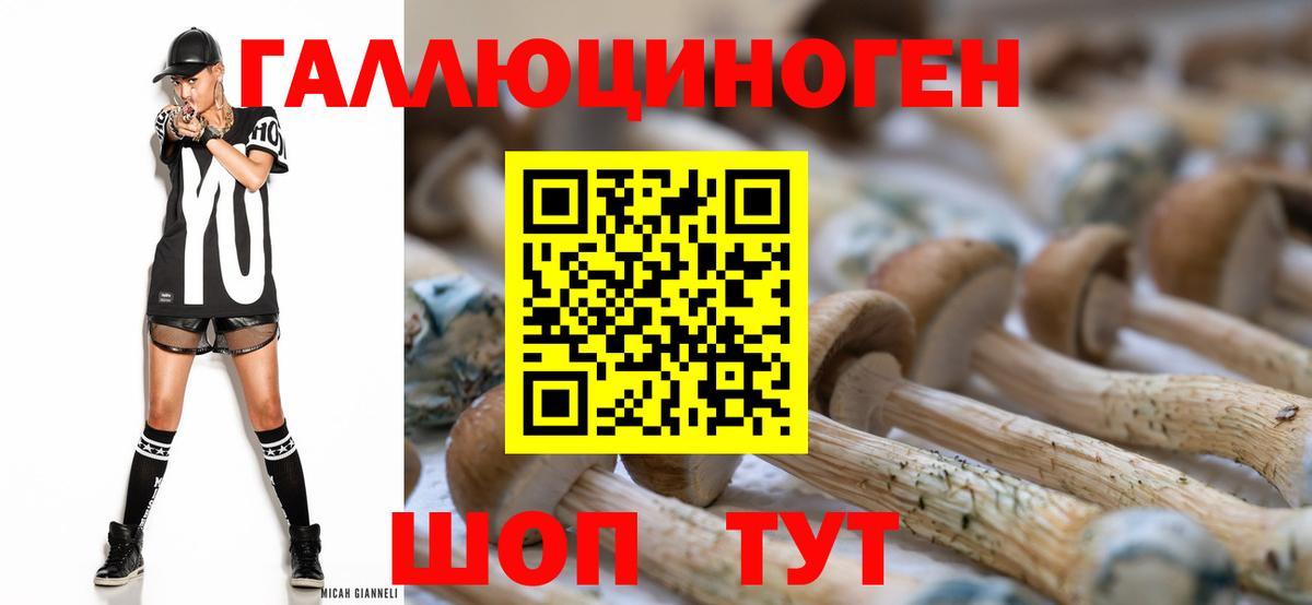 Юрга  Псилоцибиновые грибы прущие грибы  Вход с VPN 